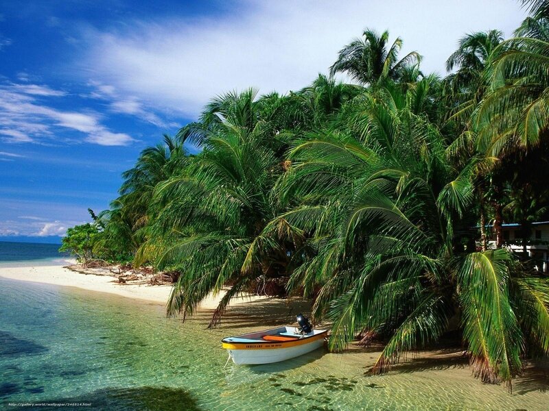 Small Boat on Beach — Blue, Serene, Afternoon, Photograph, Palm Trees, Sand, Ocean