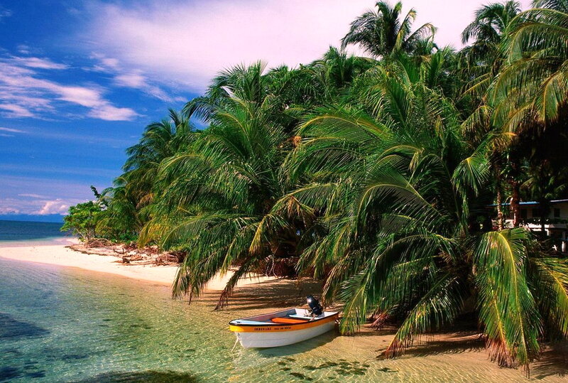 Small Boat on Beach — Blue, Serene, Afternoon, Photograph, Palm Trees