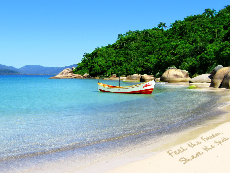 Small Boat on Beach — Blue, Serene, Afternoon, Photograph, Trees