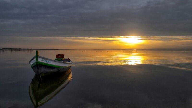 Small Boat on Calm Water — Yellow, Serene