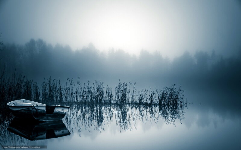 Small Boat on Lake — Blue, Serene, Morning, Photograph, Reeds