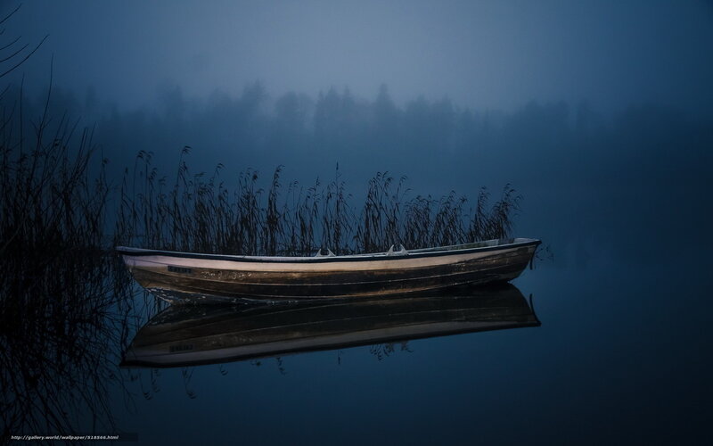 Small Boat on Lake — Blue, Serene, Night, Photograph, Reeds, Fog, Reflection