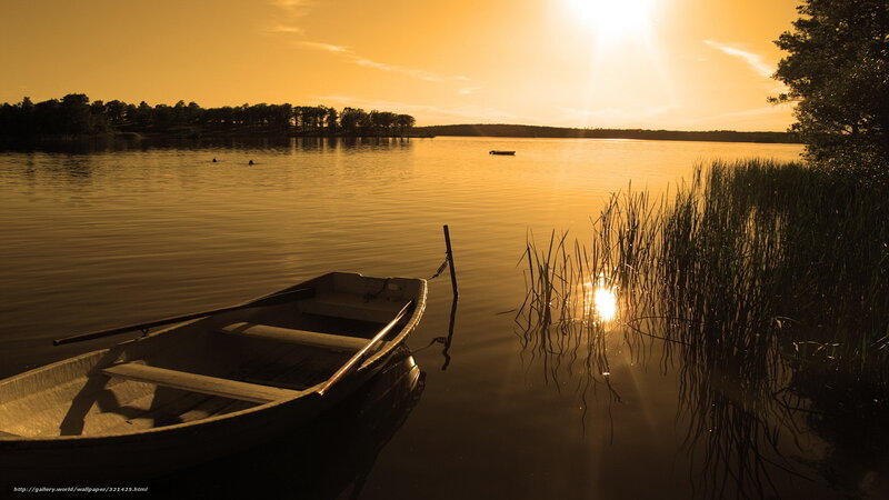 Small Boat on Lake — Gold, Serene, Sunset, Photograph, Reeds