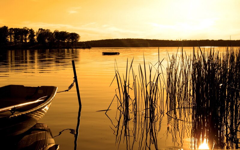 Small Boat on Lake — Gold, Serene, Sunset, Photograph, Reeds, Trees