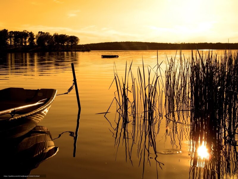 Small Boat on Lake — Gold, Serene