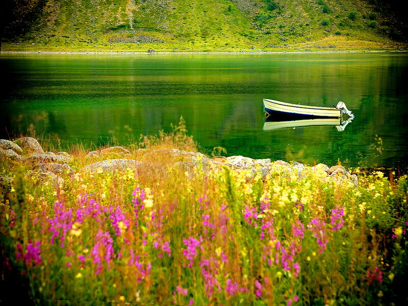 Small Boat on Lake — Green, Serene, Summer