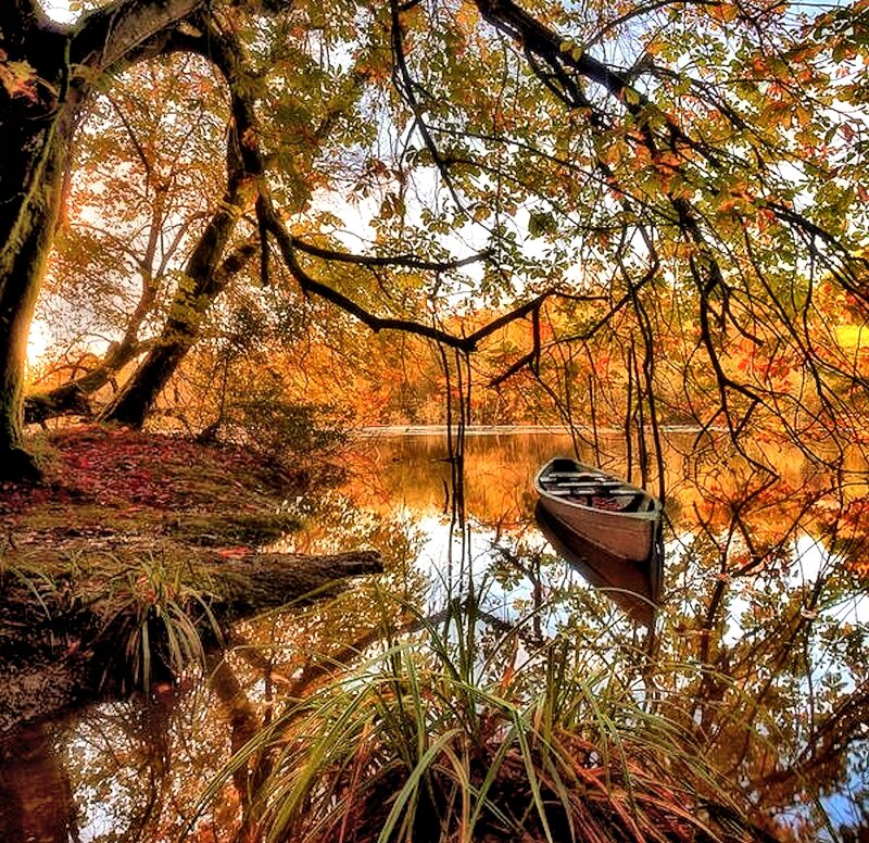 Small Boat on Lake — Orange, Serene, Autumn