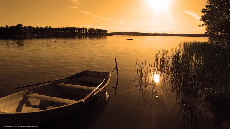 Small Boat on Lake — Orange, Serene, Sunset, Photograph, Sun, Reeds