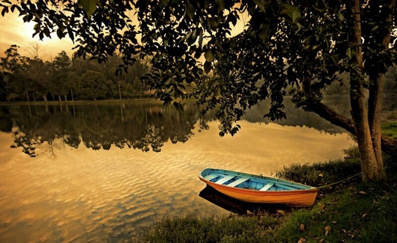 Small Boat on Lake Shore — Gold