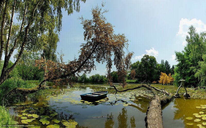 Small Boat on Pond — Green, Serene, Summer