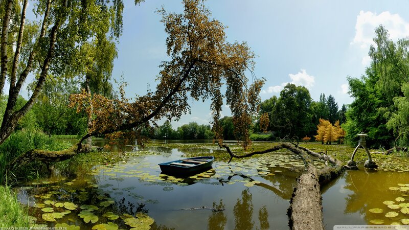 Small Boat on Pond — Green, Serene