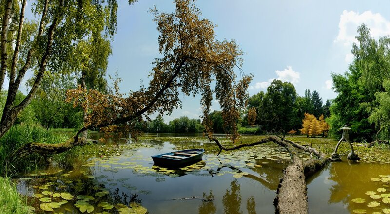 Small Boat on Pond — Green