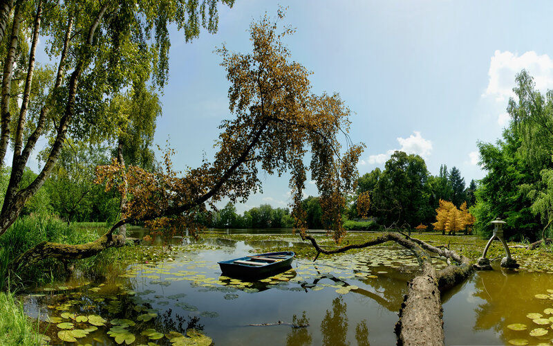 Small Boat on Pond