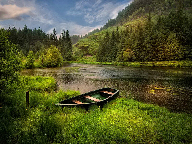 Small Boat on Riverbank — Green