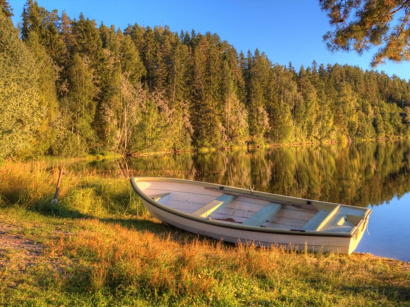 Small Boat on Shore — Green, Serene, Sunset