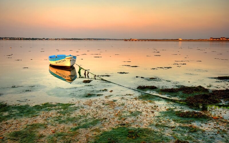 Small Boat on Shore — Orange, Serene, Sunset, Photograph, Seaweed