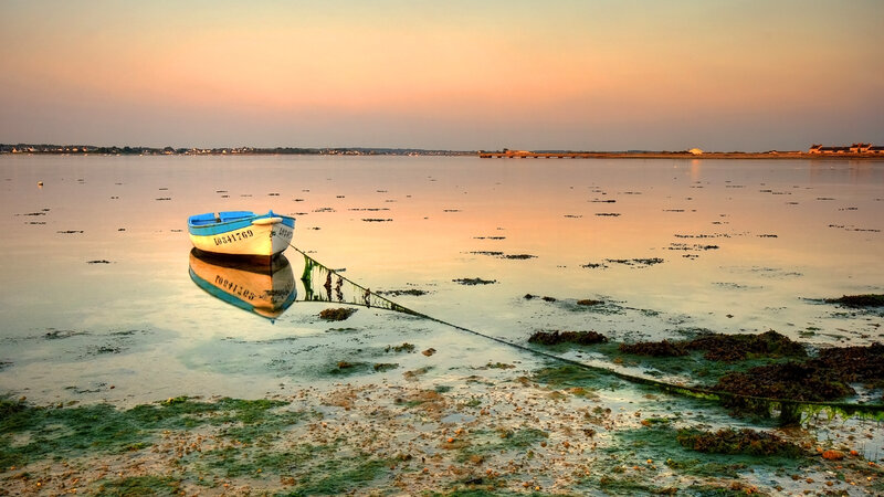 Small Boat on Tidal Flats — Orange, Serene, Sunset, Photograph, Seaweed