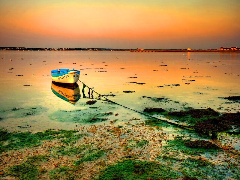 Small Boat on Tidal Flats — Orange