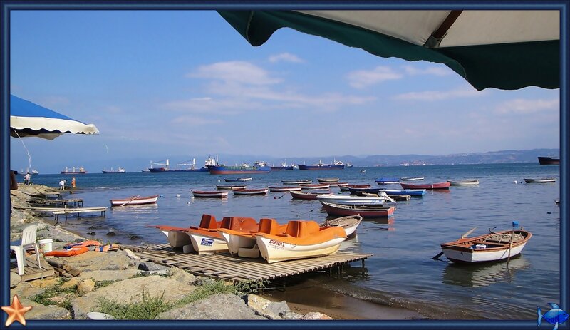 Small Boats in Harbor — Blue, Calm, Afternoon