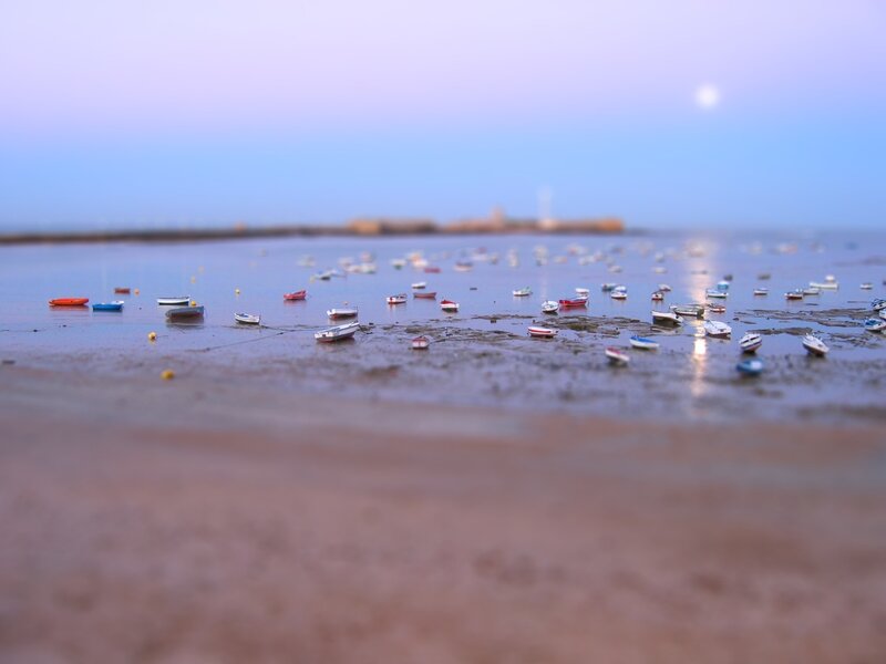 Small Boats on Mudflats
