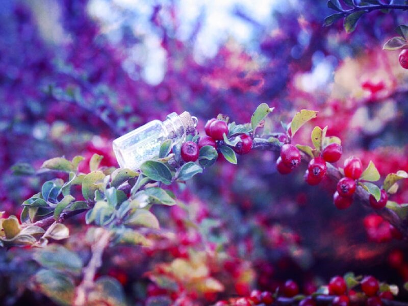 Small Bottle on Berry Branch