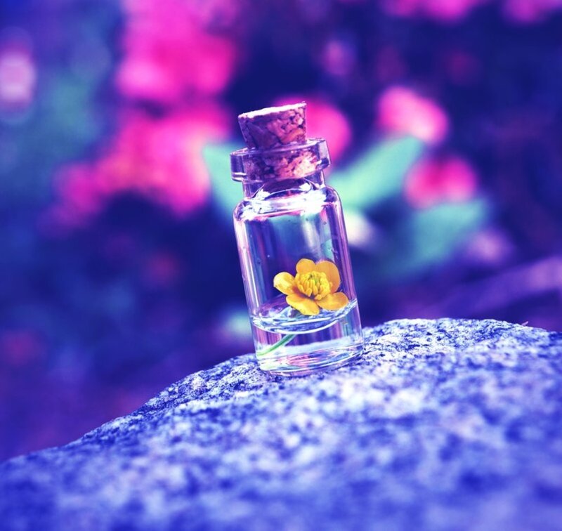 Small Bottle with Flower