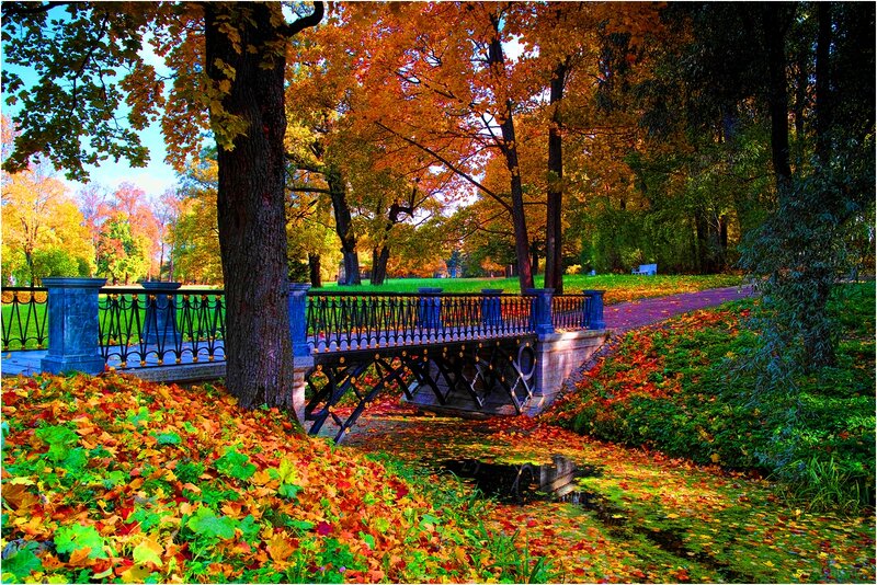 Small Bridge in Autumn Park