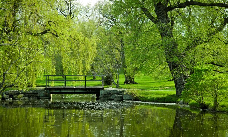 Small Bridge over Pond