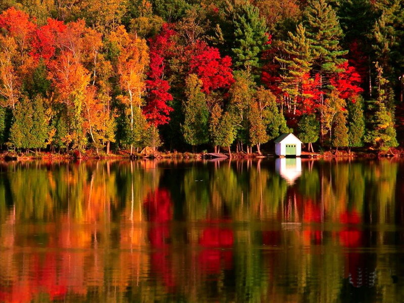 Small Cabin by Lake