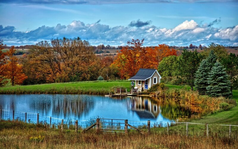 Small Cabin by Pond — Blue