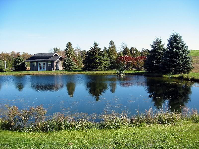 Small Cabin by Pond — Green