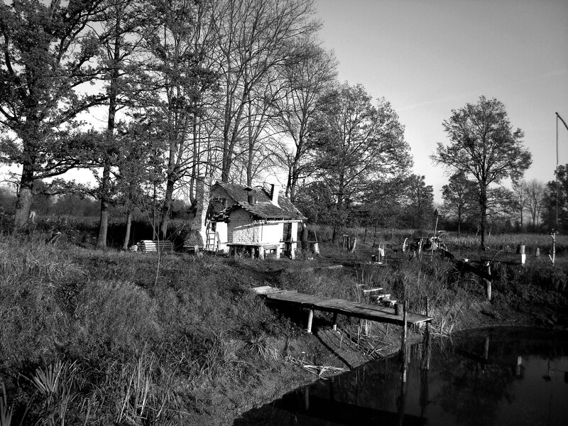Small Cabin by Pond