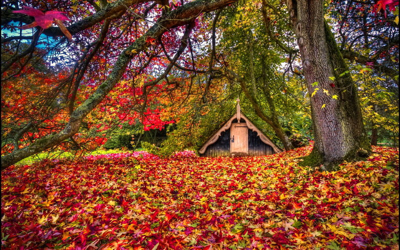 Small Cabin in Autumn Forest — Red