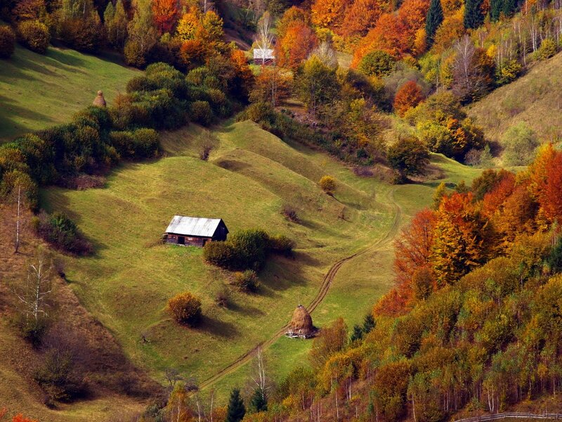 Small Cabin in Autumn Hills