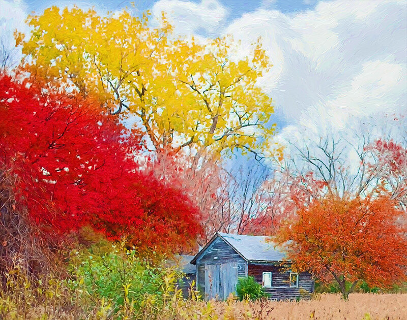 Small Cabin in Autumn