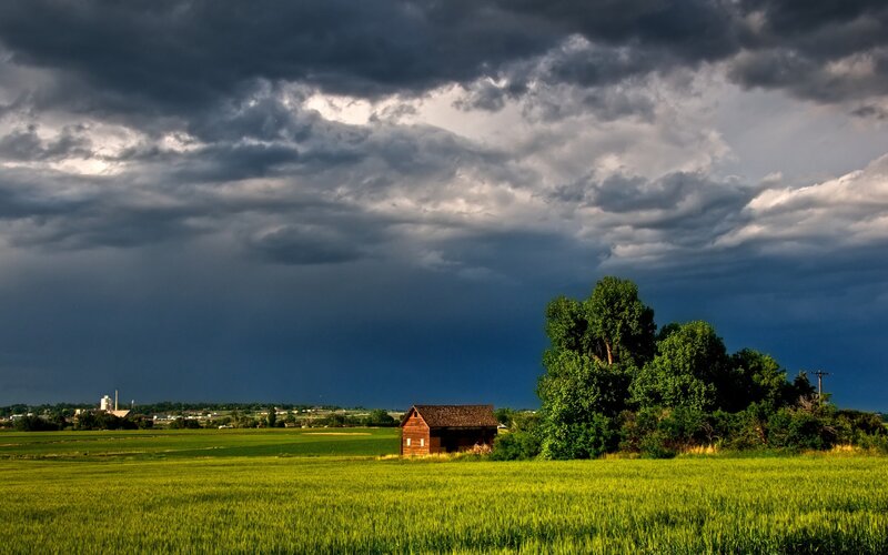 Small Cabin in Field — Green, Dramatic
