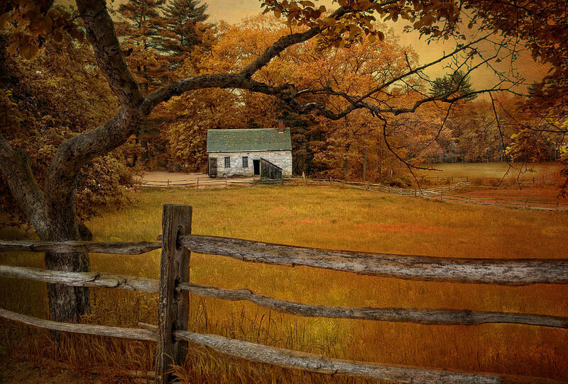 Small Cabin in Field — Orange
