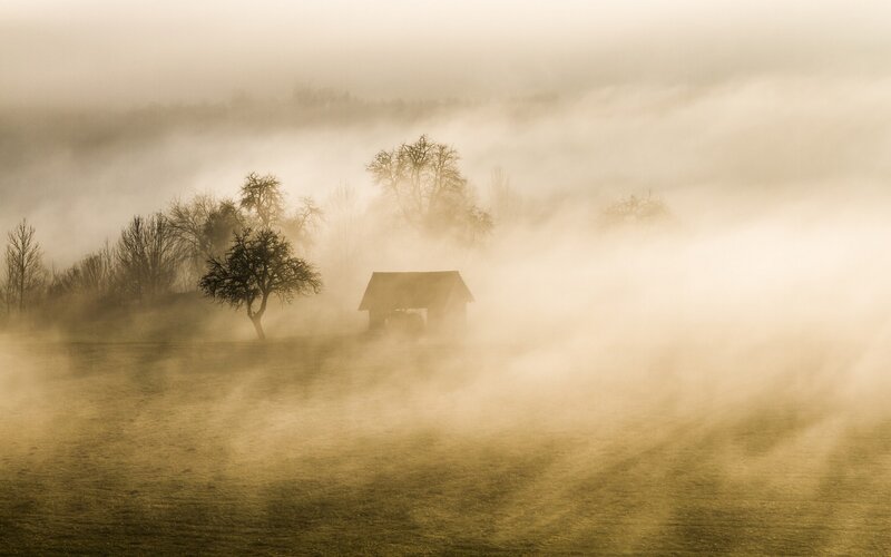 Small Cabin in Fog — Brown