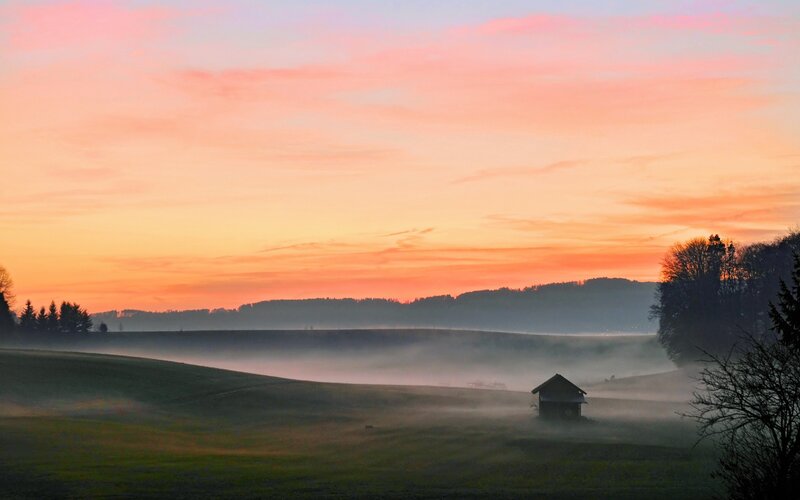 Small Cabin in Fog — Orange, Serene