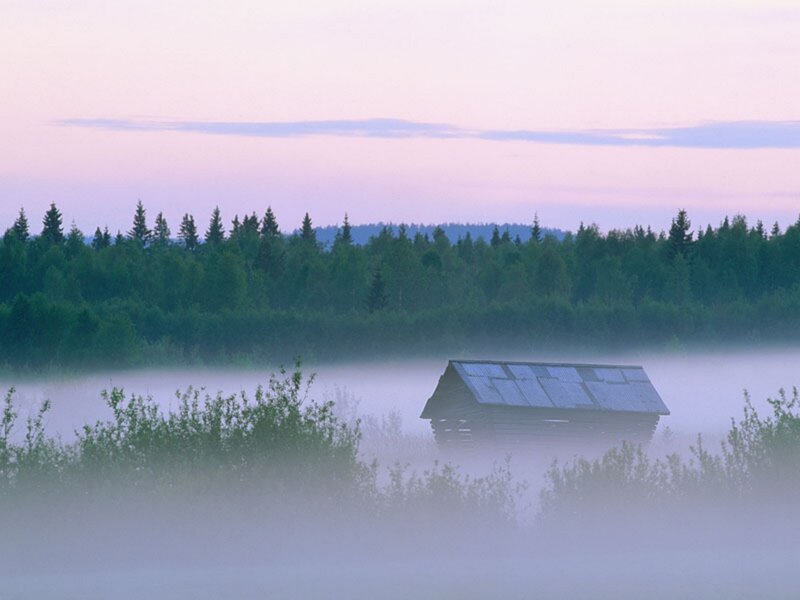 Small Cabin in Fog