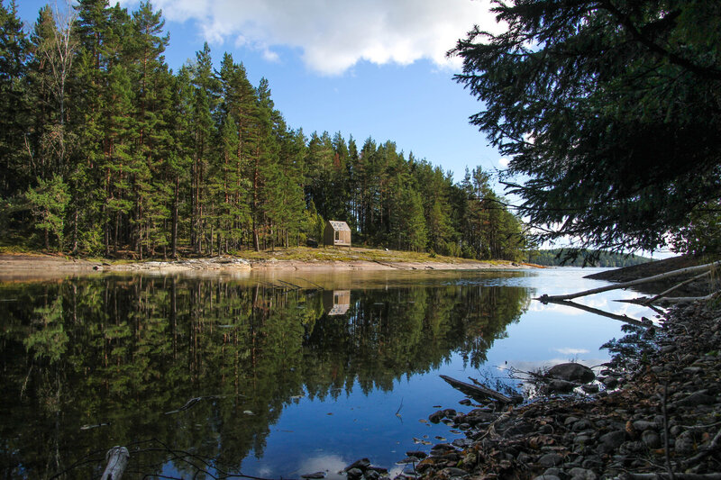 Small Cabin in Forest — Green, Serene, Afternoon, Photograph, Lake