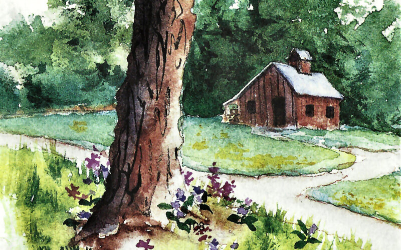 Small Cabin in Forest — Green