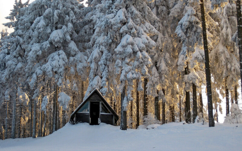 Small Cabin in Forest — White