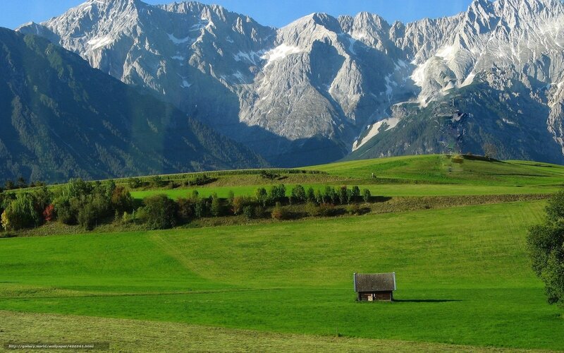 Small Cabin in Green Field — Serene, Afternoon