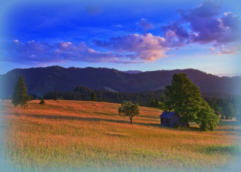 Small Cabin in Meadow — Blue