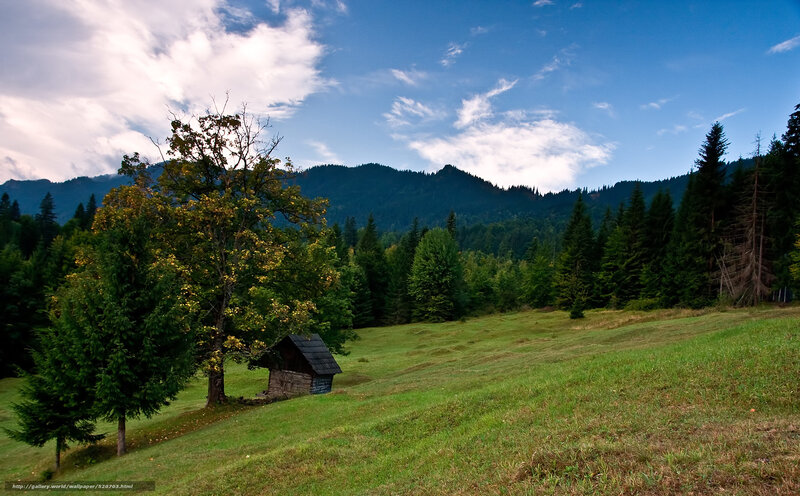 Small Cabin in Meadow — Green, Serene, Afternoon, Photograph, Mountains