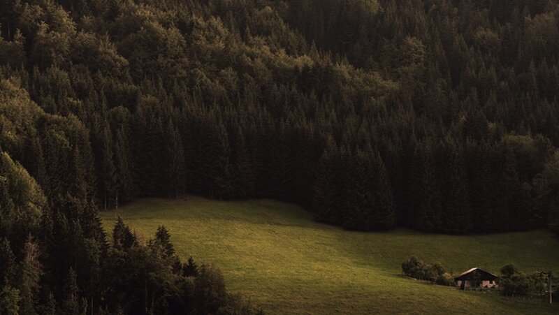 Small Cabin in Meadow — Green, Serene, Sunset