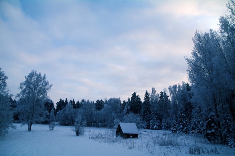 Small Cabin in Snow — Blue