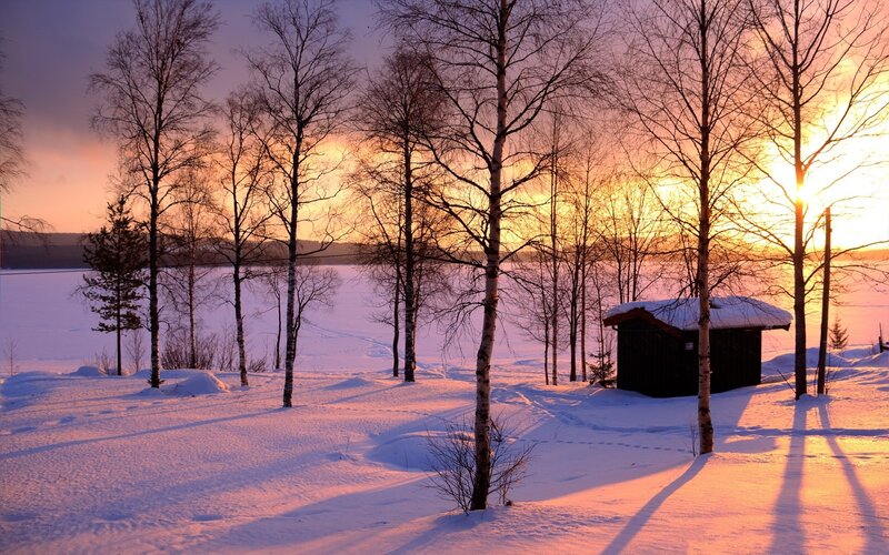 Small Cabin in Snow — Orange