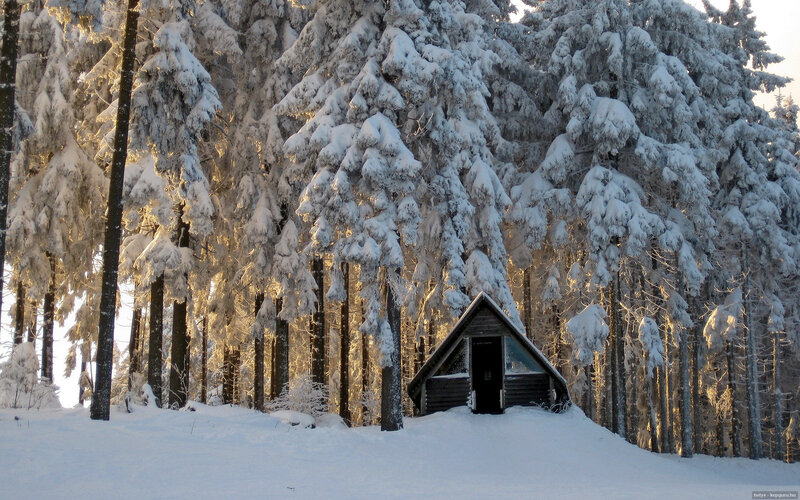 Small Cabin in Snow — White, Serene